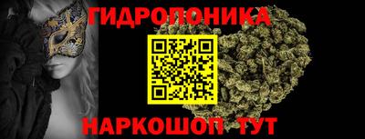 гашик Пушкино