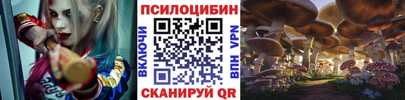 Псилоцибиновые грибы ЛСД  наркошоп  МЕГА маркетплейс  Тара 