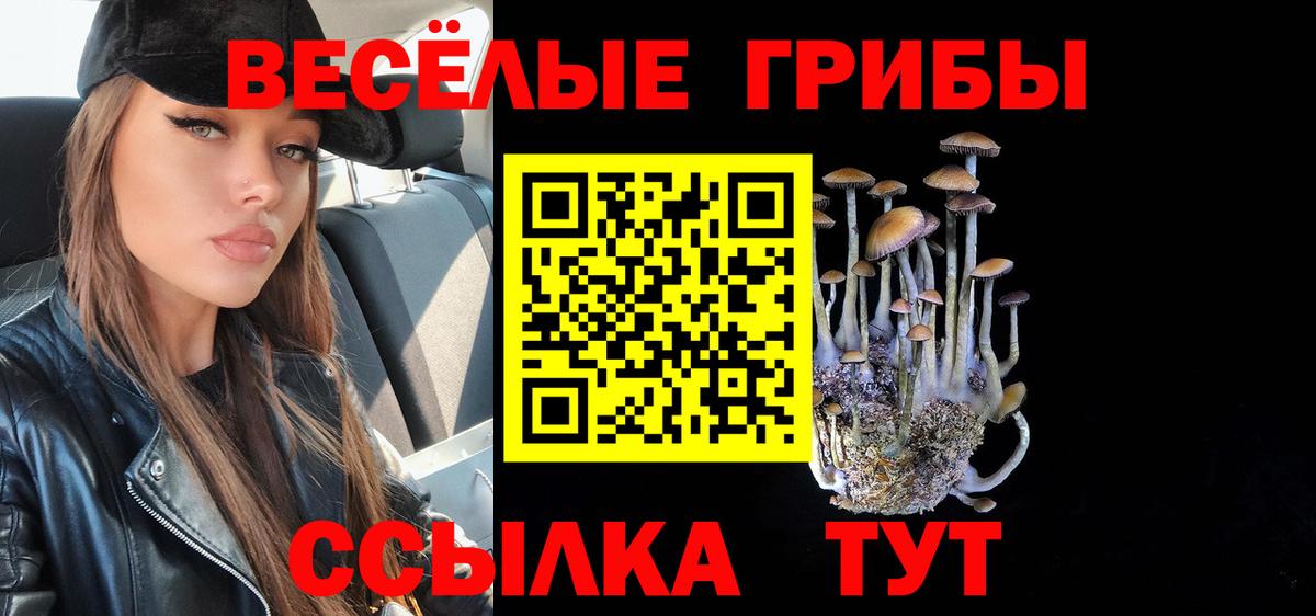 Тара  Псилоцибиновые грибы прущие грибы  Псилоцибиновые грибы мицелий  закладки  Вход с VPN 