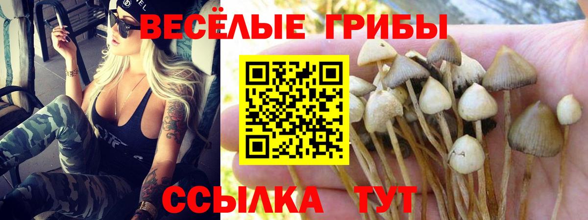 Галлюциногенные грибы MAGIC MUSHROOMS Тара